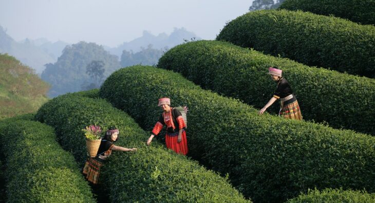 Jak Zapewnić Posiłki Dla Zespołu Pracującego Zdalnie? Odkrywamy Tajemnicę Karty Lunchowej!